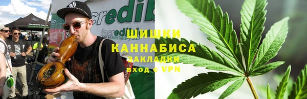 сатива Абдулино