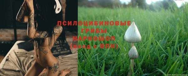 винт Алзамай
